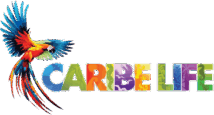 caribe life transparente